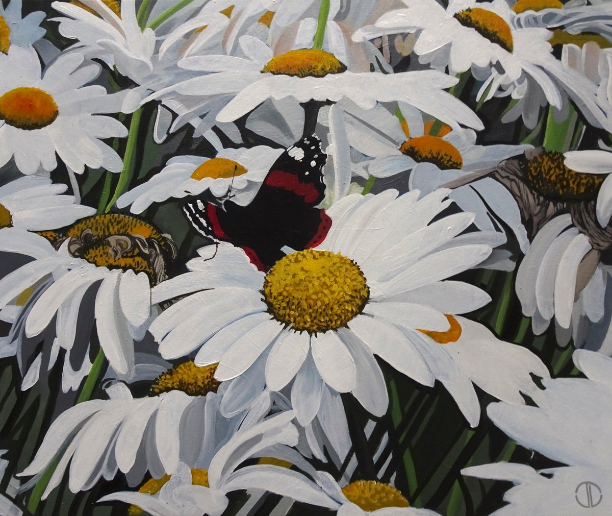 Impressionistic Botanical Acrylic Painting By Joseph Lynch, 24 X 20, Summer Daisies, Original Artwork