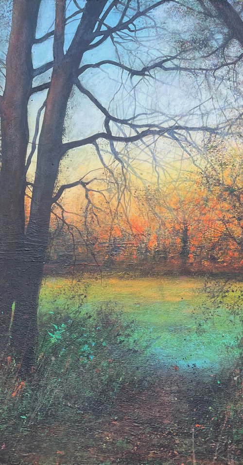 'Where Light Awaits' by Jo Starkey