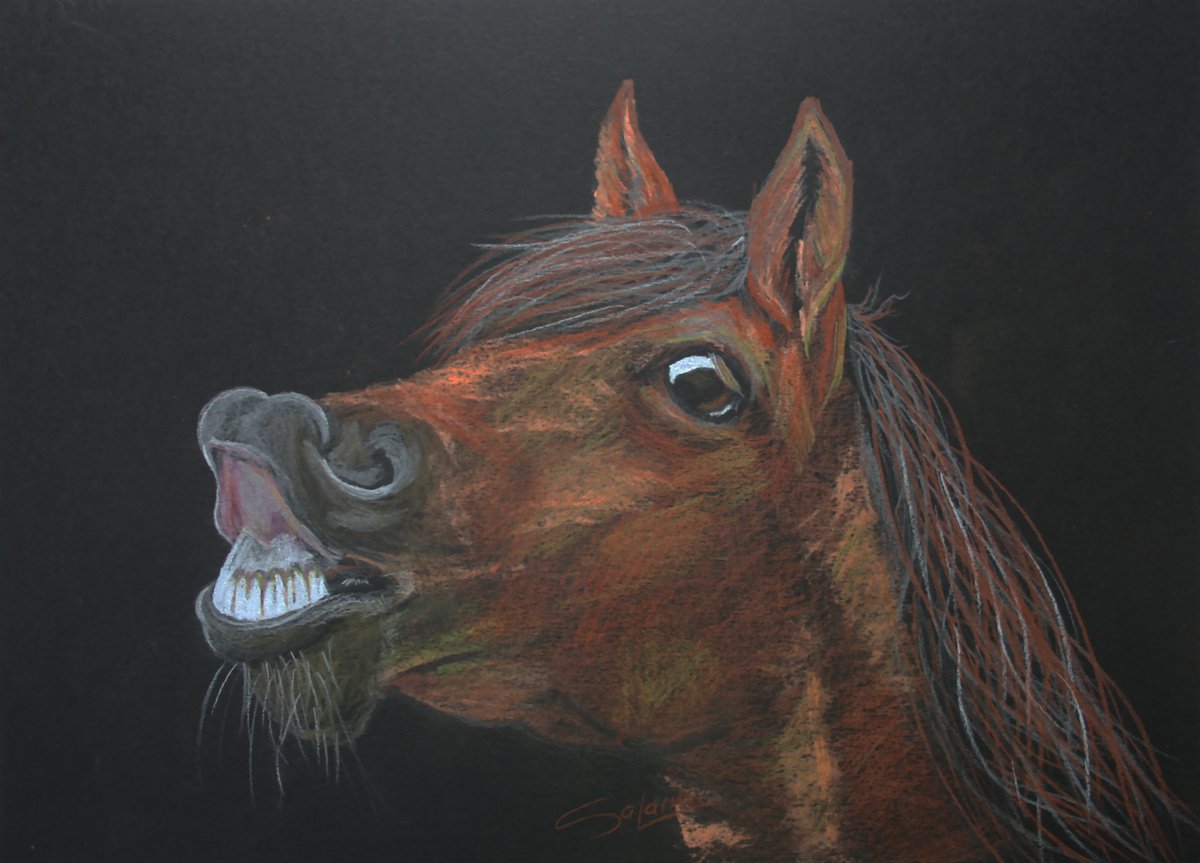 Animal Pastel Drawing By Salana Art / Svetlana Samovarova, 12 X 8", Horse Iv, Original Artwork