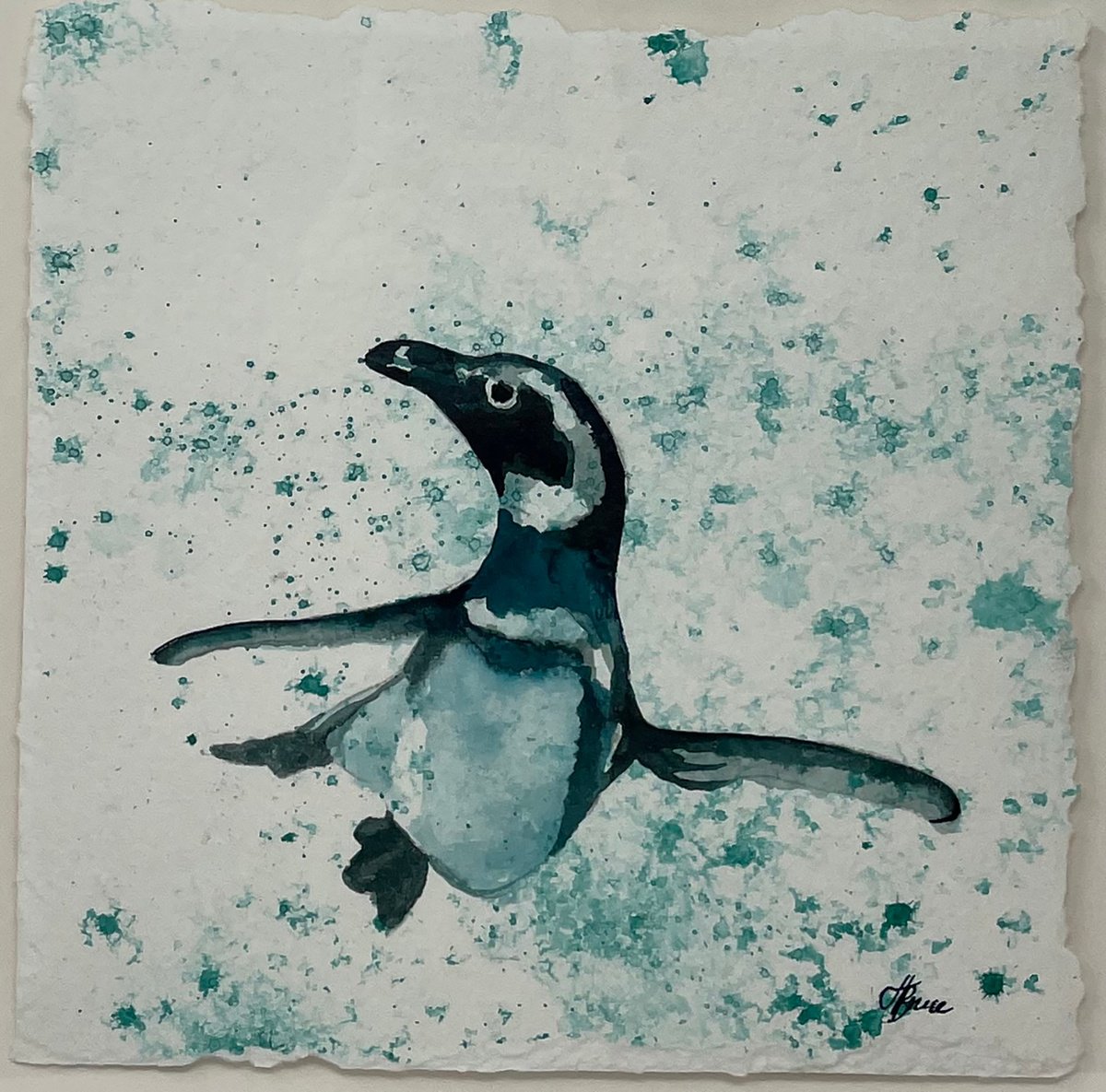 Humbolt Penguin Looking by Hannah Bruce