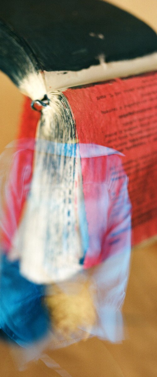 Calendar and blue shirt 2 by Tania Serket