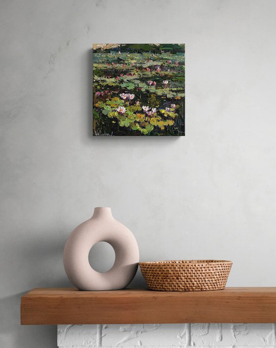 Blooming Water Lilies