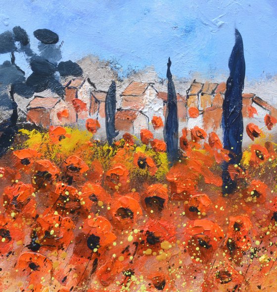 Red poppies  in Provence   6624
