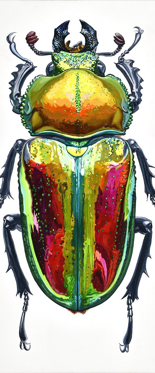 Rainbow Stag Beetle by Alex Nizovsky