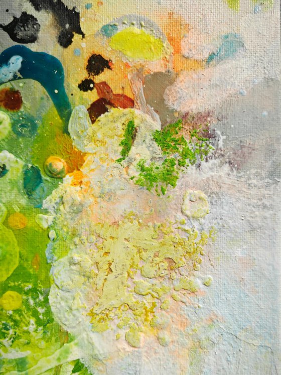 Tender Springlight N°3