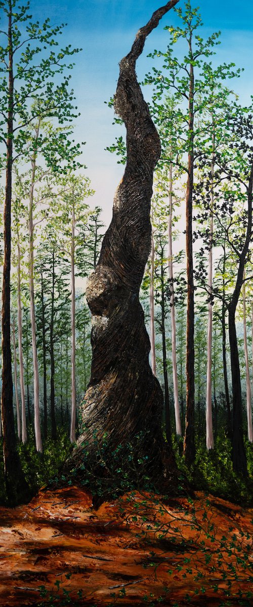 Sculptural Twisted Tree. by Hazel Thomson