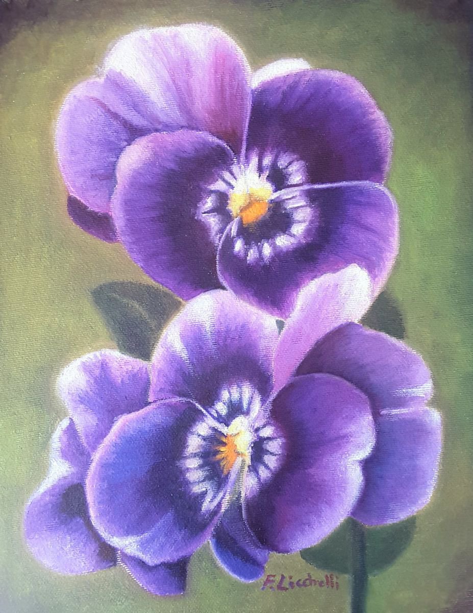 Purple pansy by Francesca Licchelli