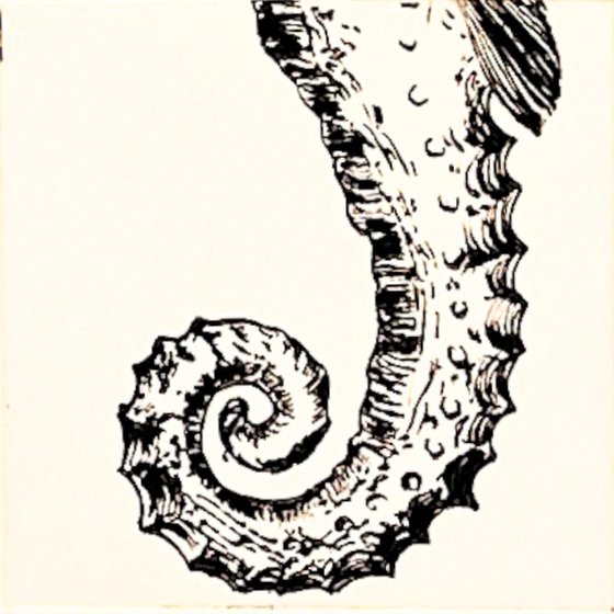 Fibonacci Spirals