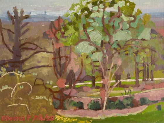 From Pembroke Lodge 2