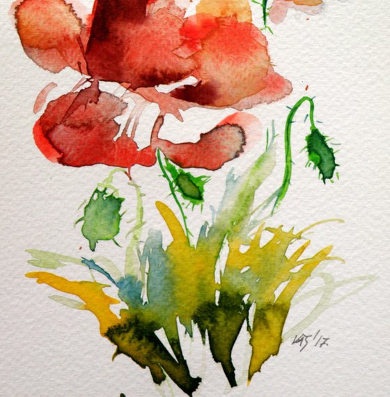 Little poppies