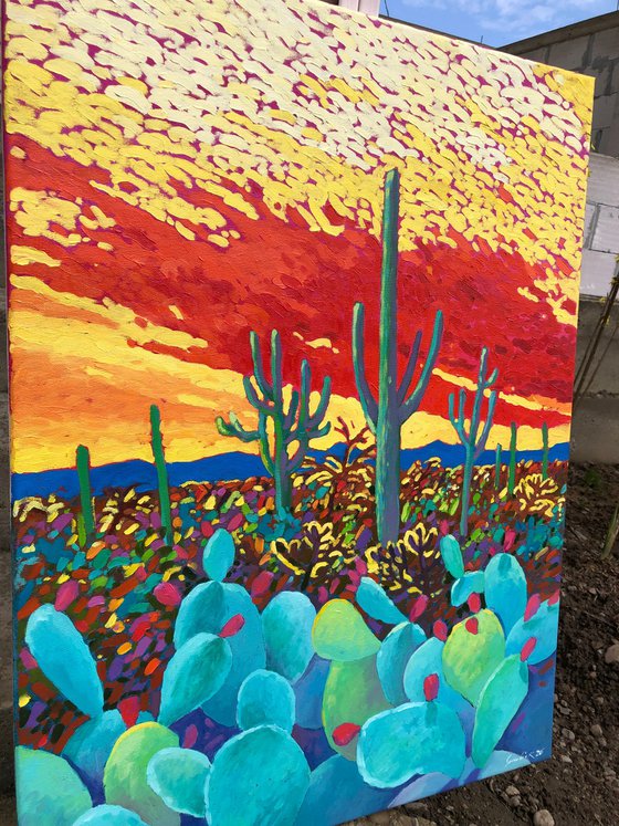 Warm evening in desert