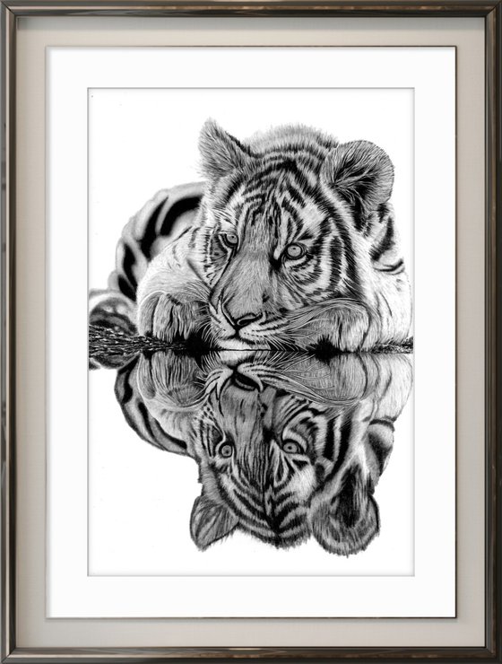 Tiger Cub Reflection