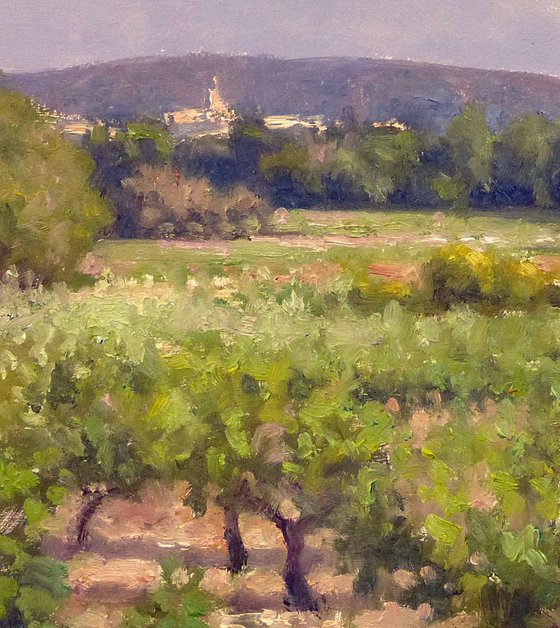 Vineyards near Roussillon