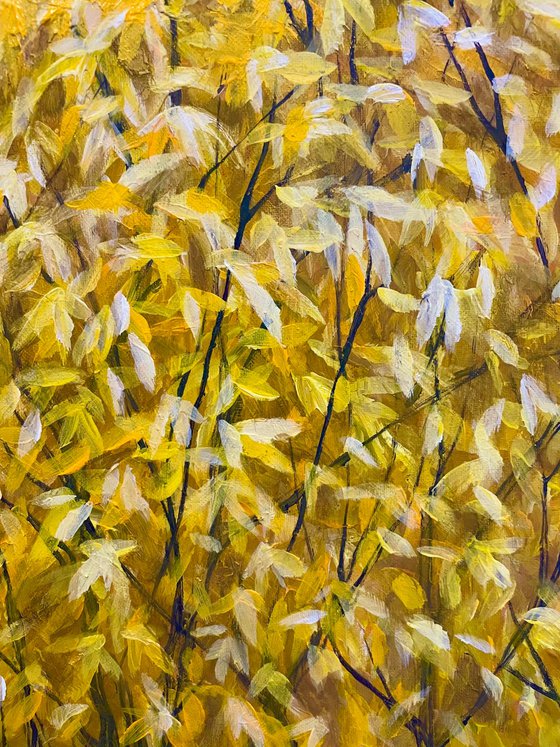 Golden Rain — The First Rays of Spring