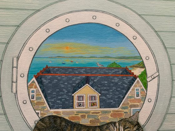 The Porthole cat