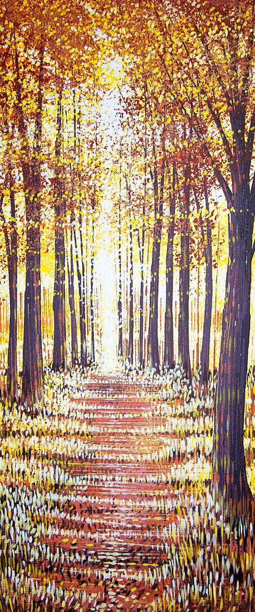 Light Through Autumn Trees by Marc Todd
