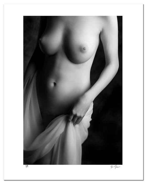 Untitled Nude with Fabric