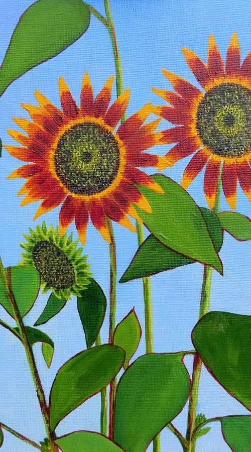 Happy Sunflowers by Ruth Cowell