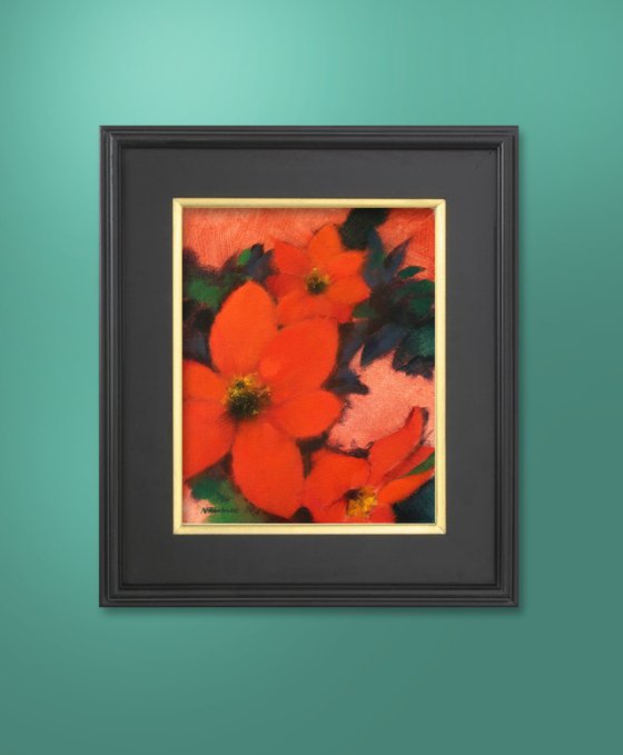 Laycock Dahlia