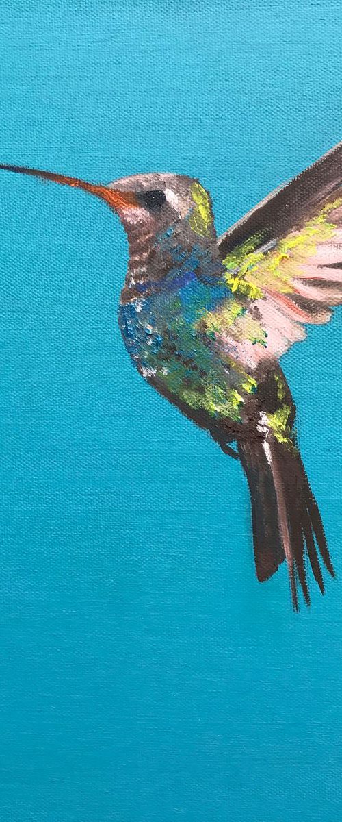 Hummingbird by Laure Bury