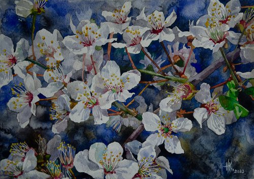 Cherry Blossom by Zhanna Kondratenko