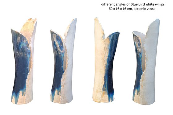 BLUE BIRD, WHITE WINGS