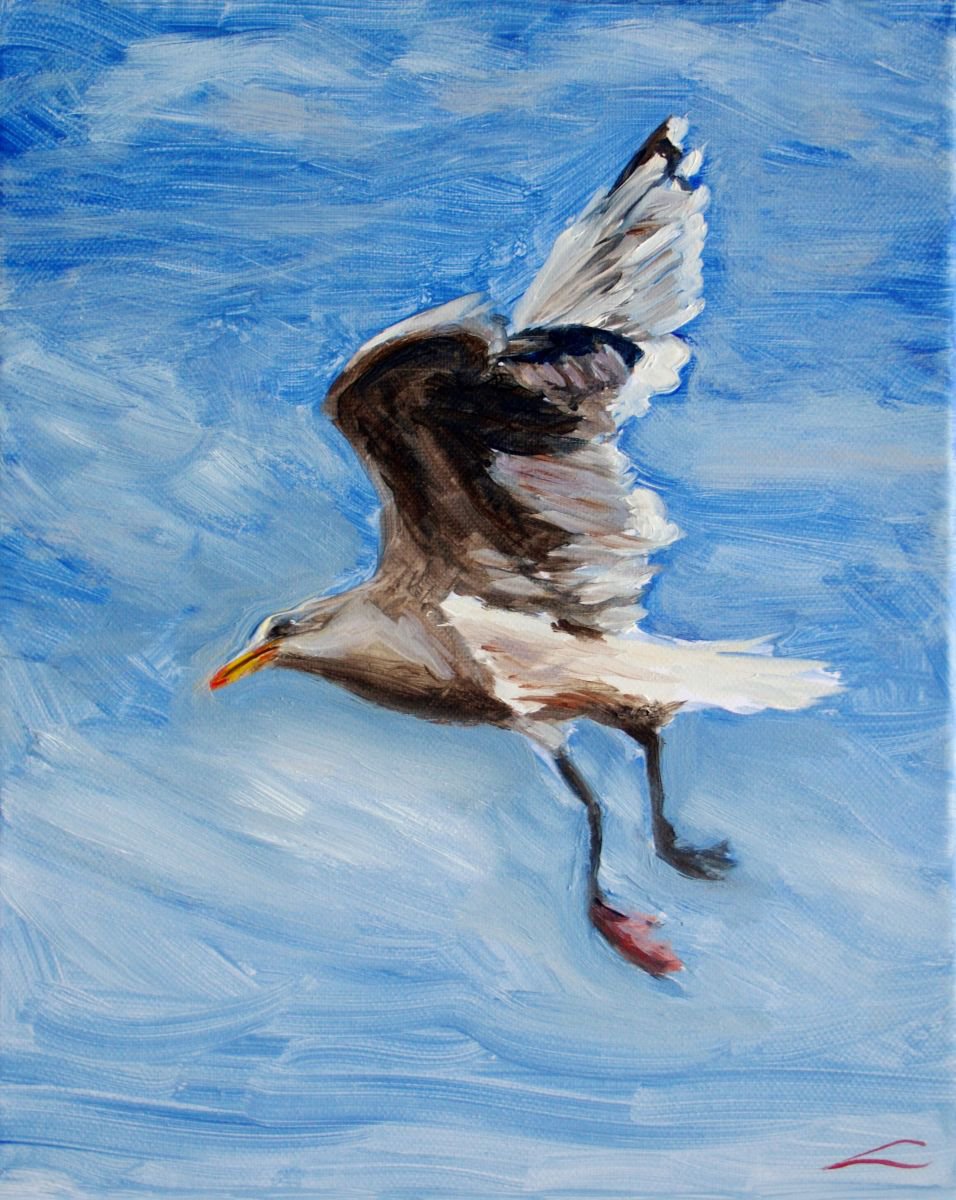 Impressionistic Animal Oil Painting By Elena Sokolova, 9 X 12, Flying Seagull, Original Artwork