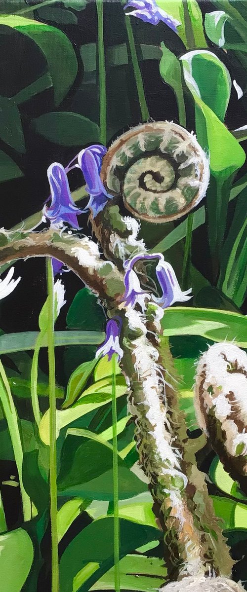Early spring 2025 by Joseph Lynch
