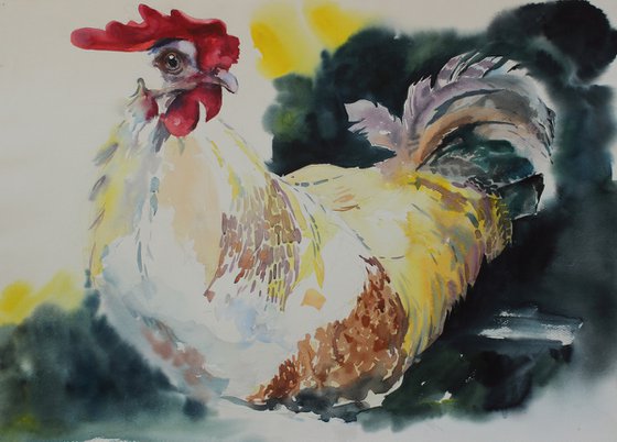 COCK