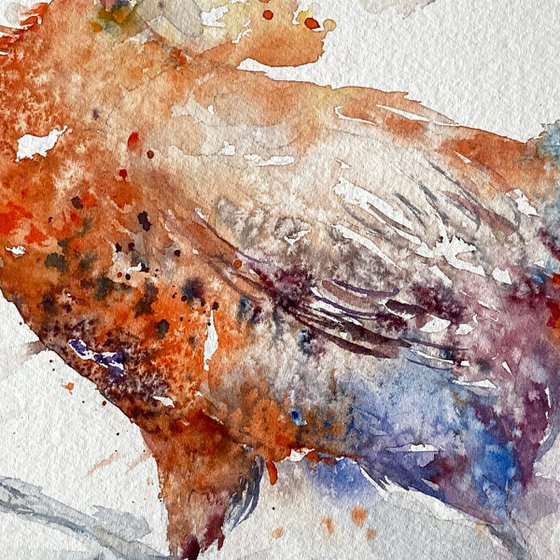 Run for it _ Pheasant
