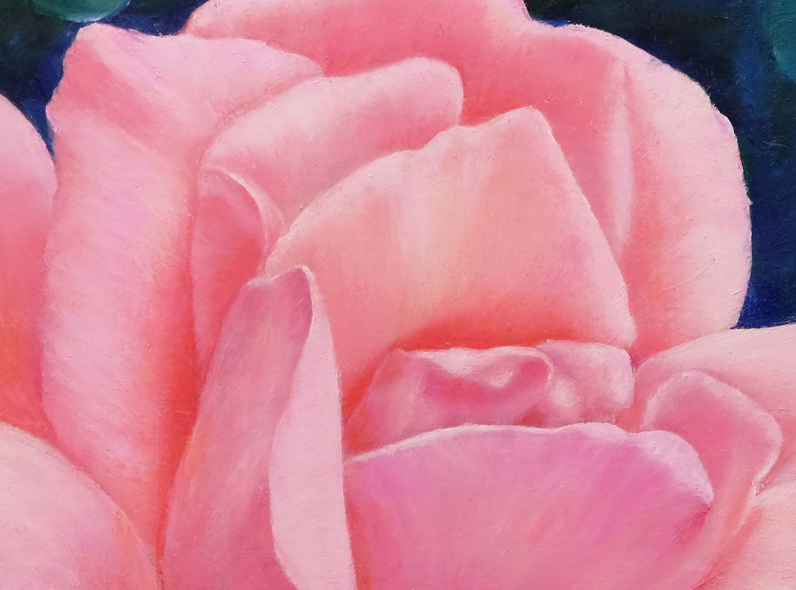 Original Oil Painting - ROSE. PINK ROSE. by Anastasia Woron