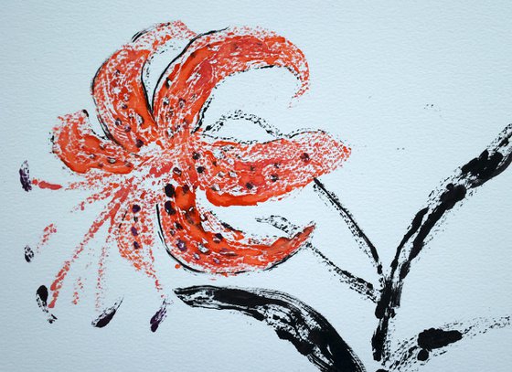 Lily