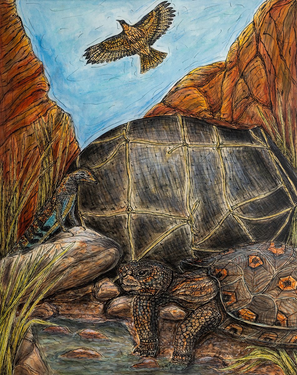 Animal Watercolour By Kim Jones Miller, 16 X 20", Face Off At The Waterhole, Original Artwork