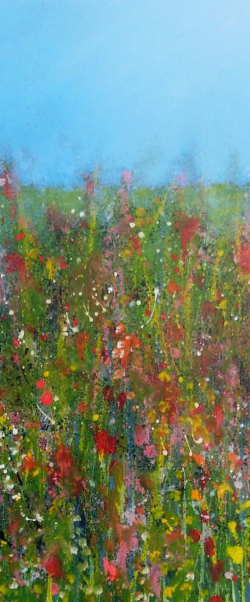 Meadow by Jan Rippingham