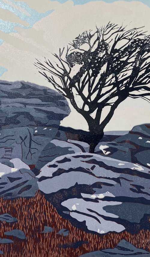 Moorland Hawthorn by Joanne Spencer