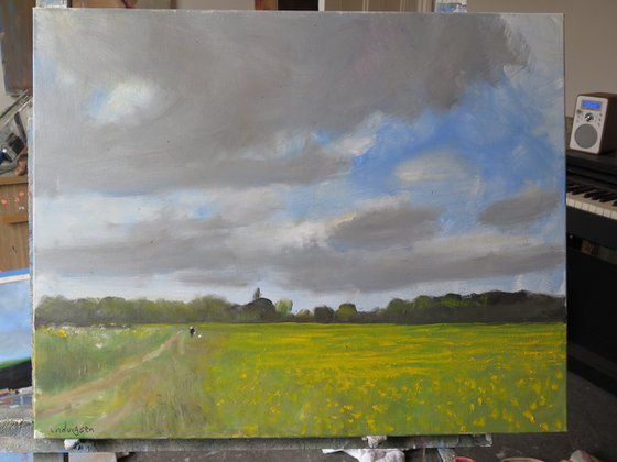 Water Meadow
