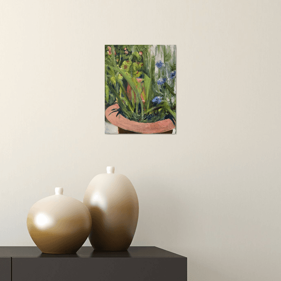 Oxalis and Cornflowers Study