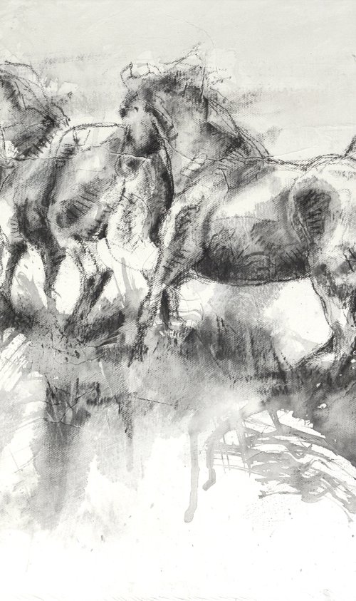 Equine Life 7t by Benedicte Gele