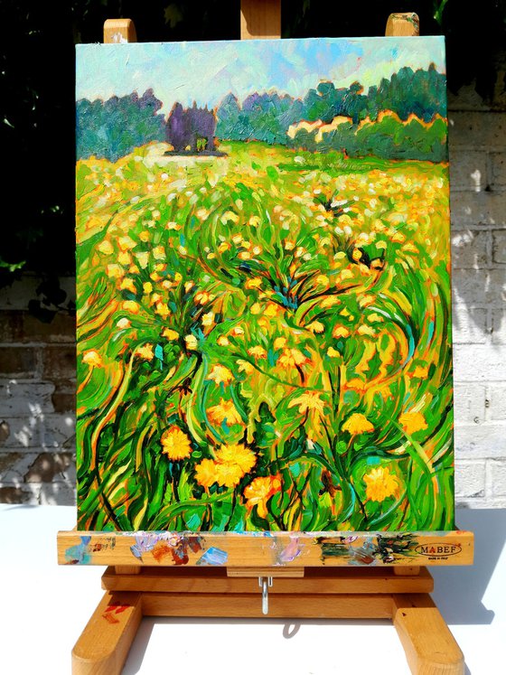 Dandelion Stars Carpet My Path