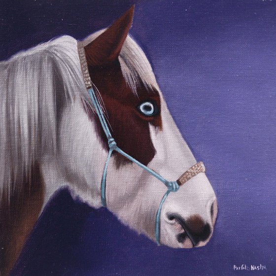 Horse Portrait 58