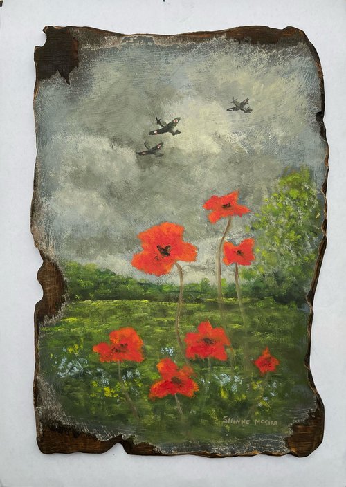Spitfires and poppies by Shayne McGirr