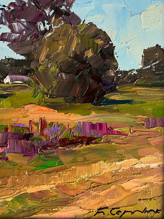 In the Summer Meadows