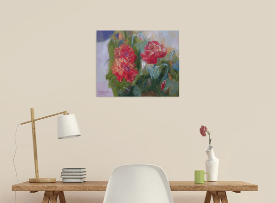 Poppy Bloom