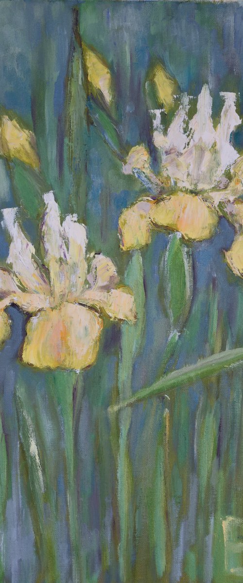 Yellow irises by Elena Zapassky
