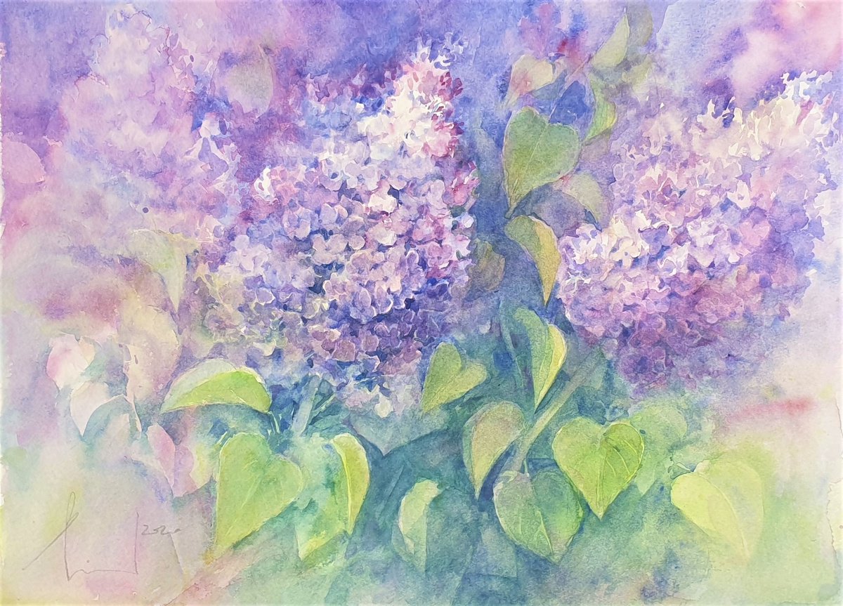 watercolour LILAC LILAC II flower painting 40x30/ 2020.021 by Beata van Wijngaarden