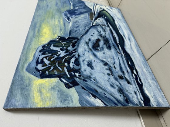 “Winter in the mountains”