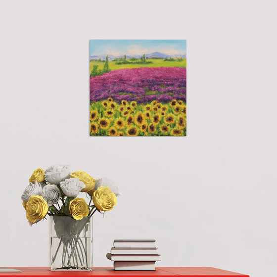 Sunflowers and lavender fields in summer