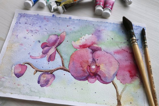 Branch of a blooming orchid. Original watercolor artwork.