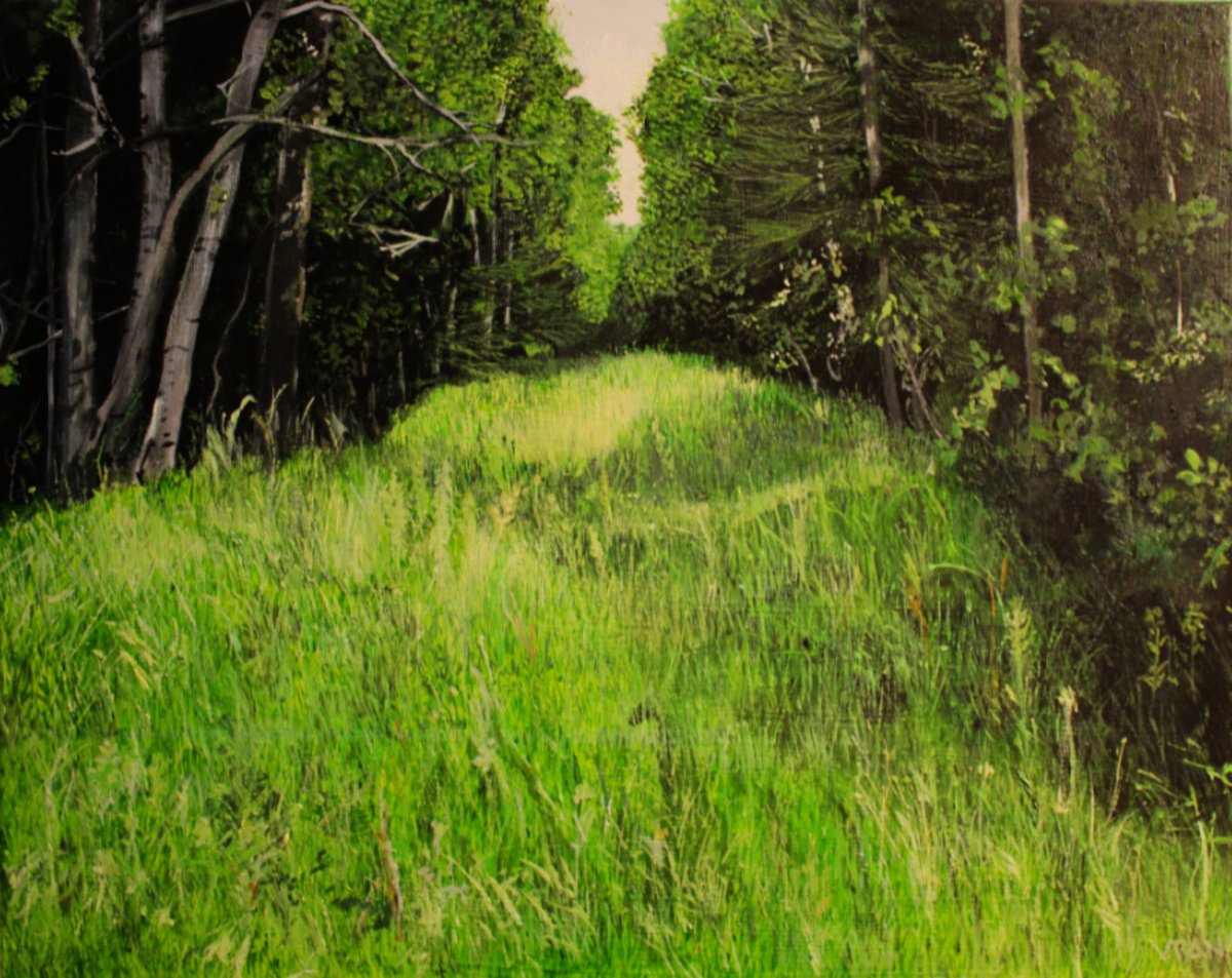 Forest Lane by Ken Vrana