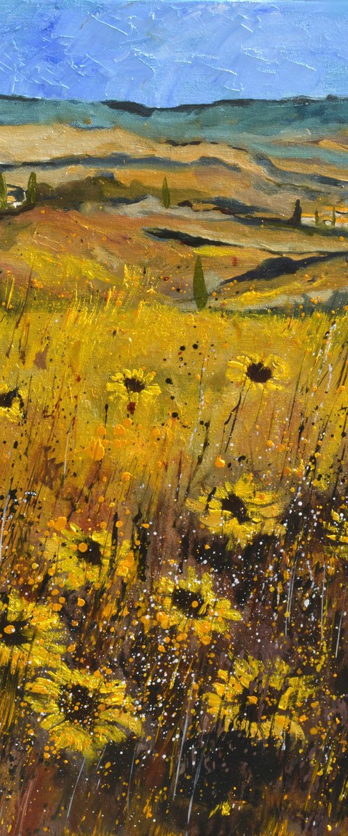 Sunflowers in tuscany 7724 by Pol Henry Ledent